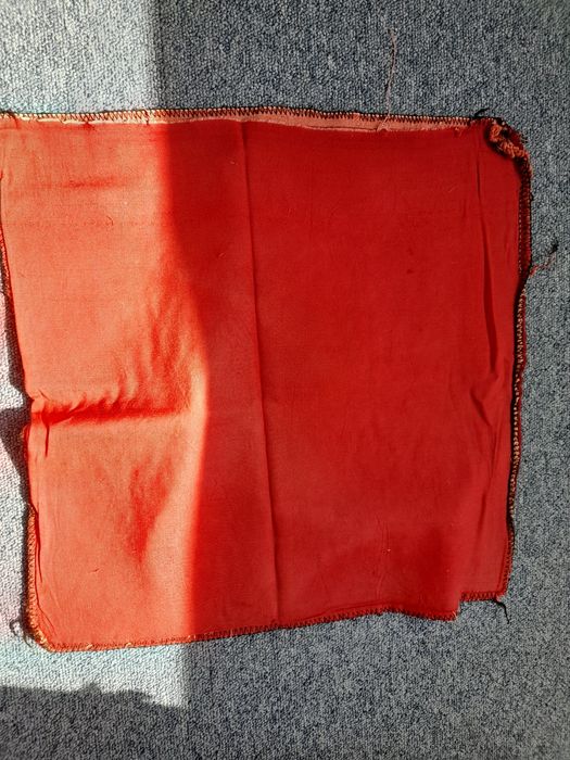 Carpeta tigru si fete perna tip cuvertura