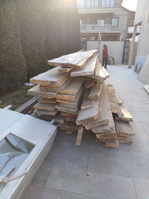 Леса сосна. В отличном качестве.