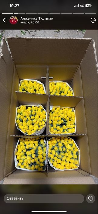 Тюльпаны в Актобе