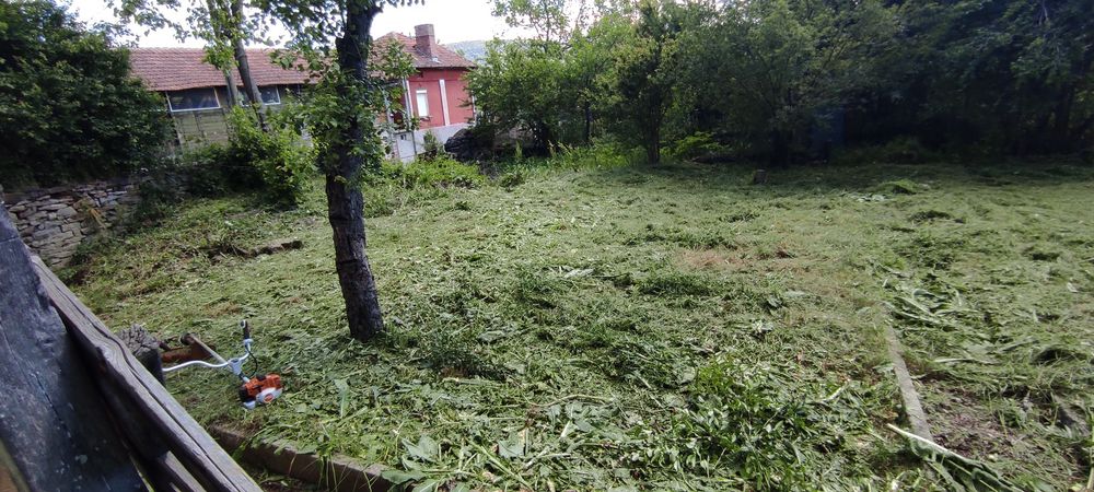 Косене на трева и буйна растителност+рязане на дървета