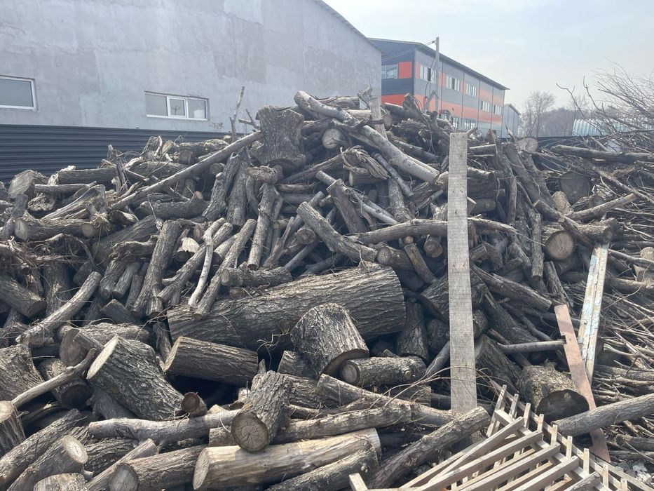 Дрова сухие Карагач