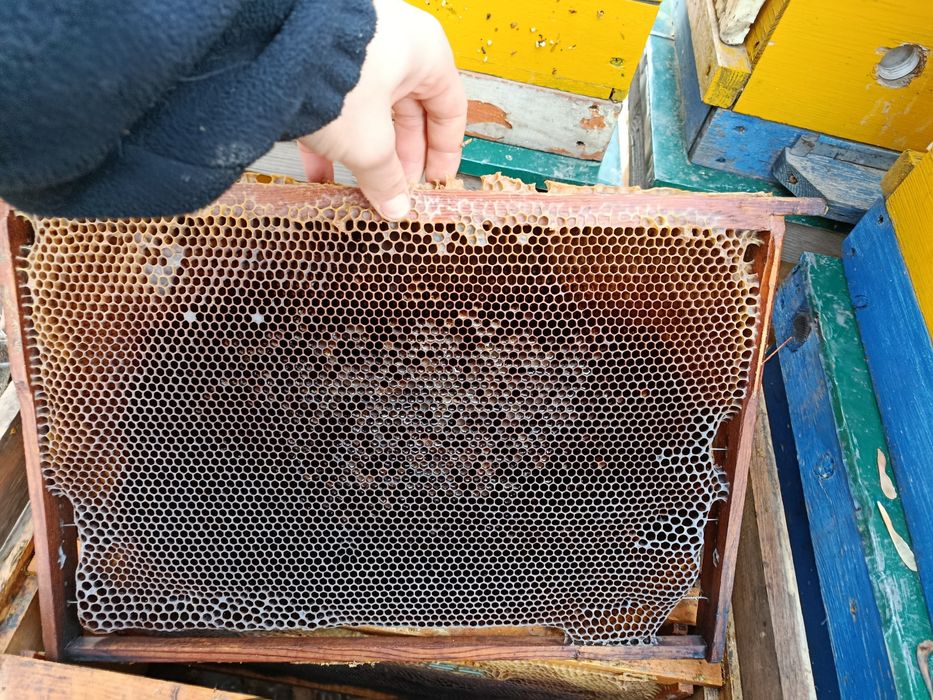 Сушь и рамки для пчел