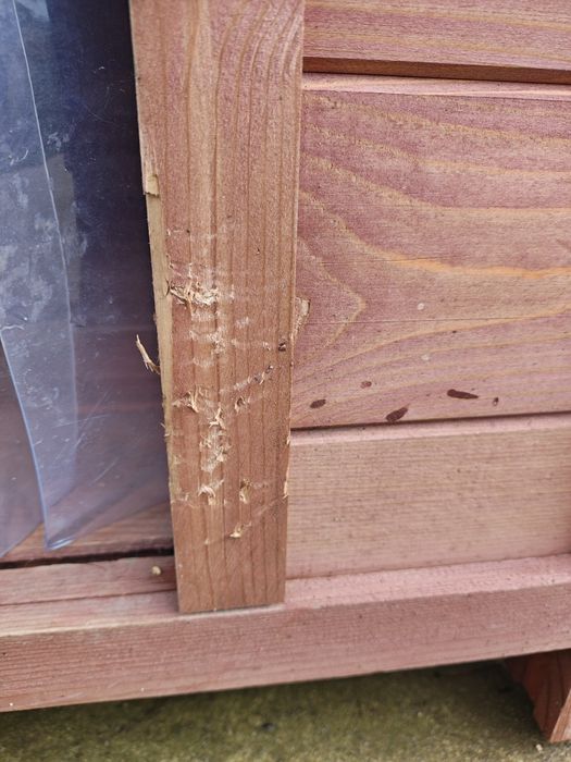 Къщичка за куче!