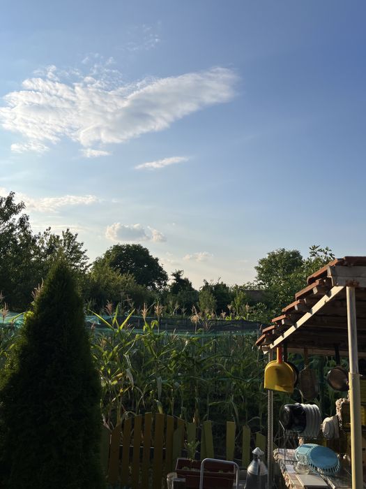 Продава се Къща в с. Разбойна, Област Търговище - 150 кв.м за 272 €/кв.м - Снимка #6