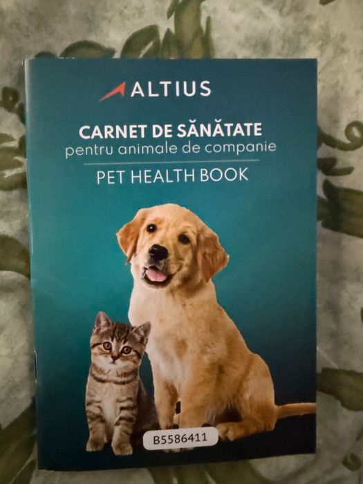 Bichoni maltezi fetite si baietei