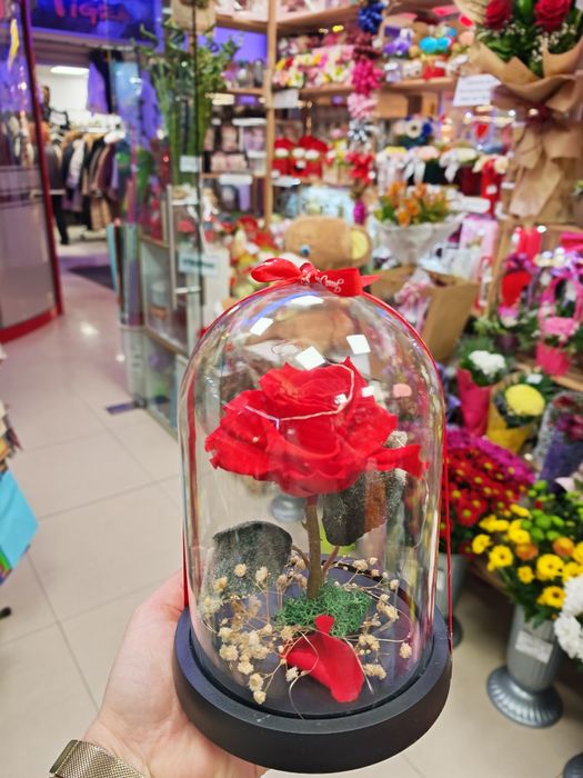 Вечна рози в стъкленица. Чудесен подарък за Свети Валентин и 8ми Март