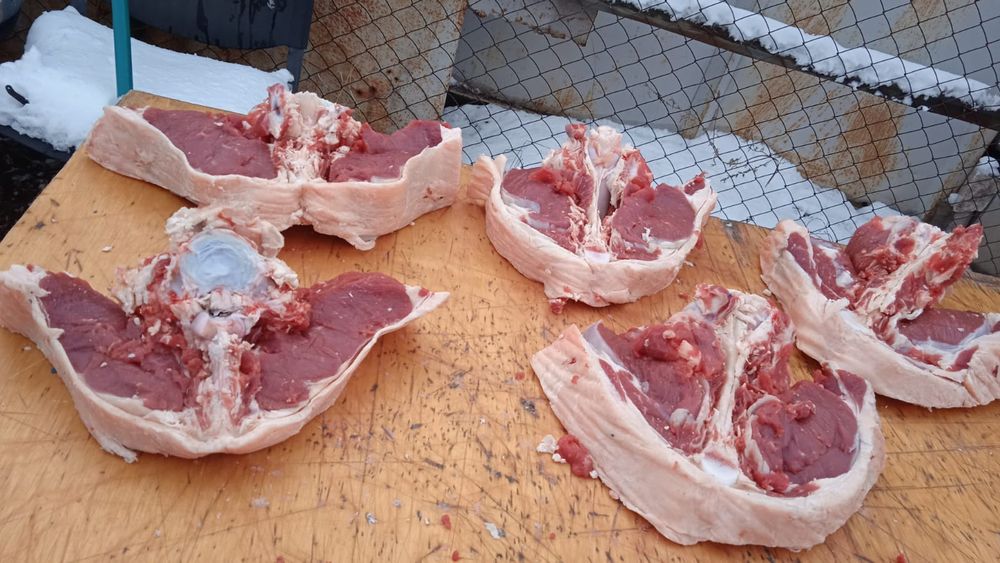 Мясо Говядина ,қашар достовка бесплотна