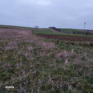 Teren extravilan, 4760 mp - zona Ghercesti