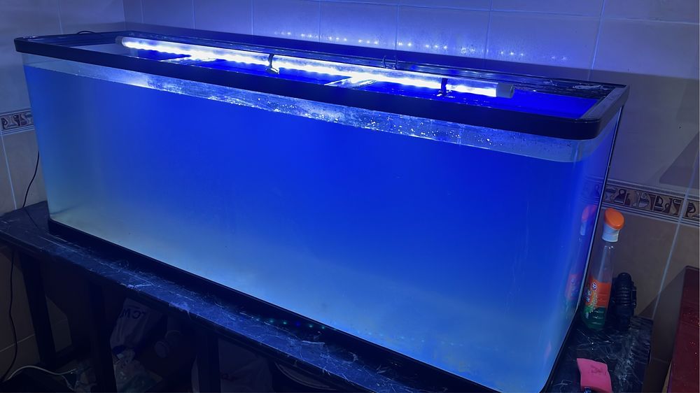 Заводской аквариум