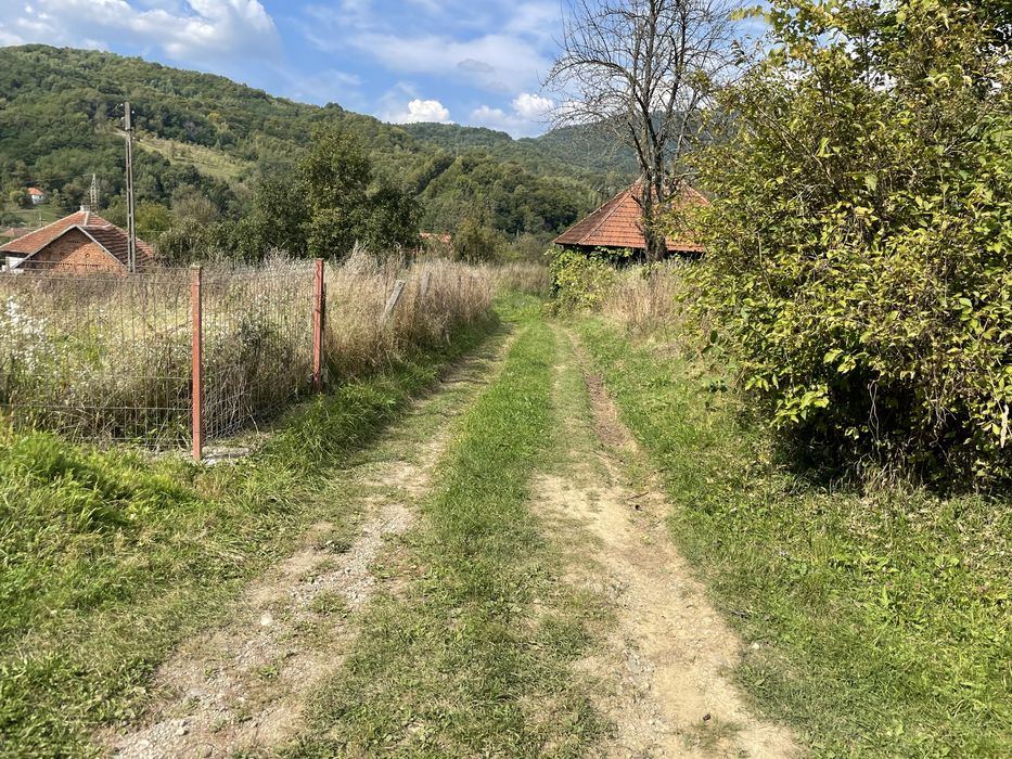 Teren extravilan in com Buces -jud Hunedoara 3648 mCF