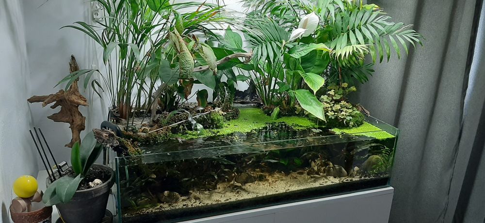 acvariu / terrariu complet echipat