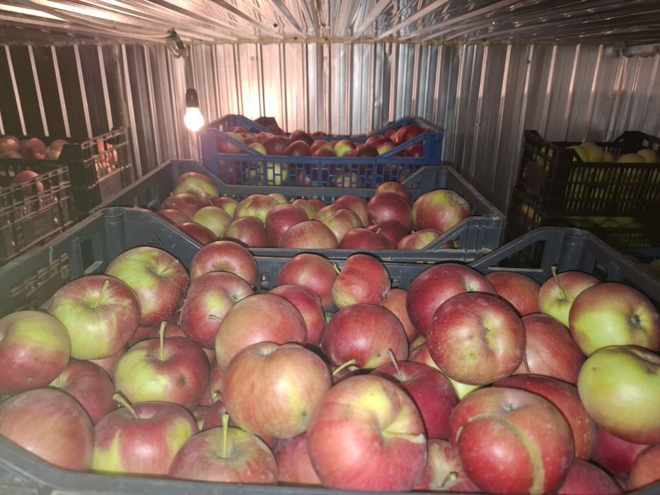 Vand mere care nu au fost stripite