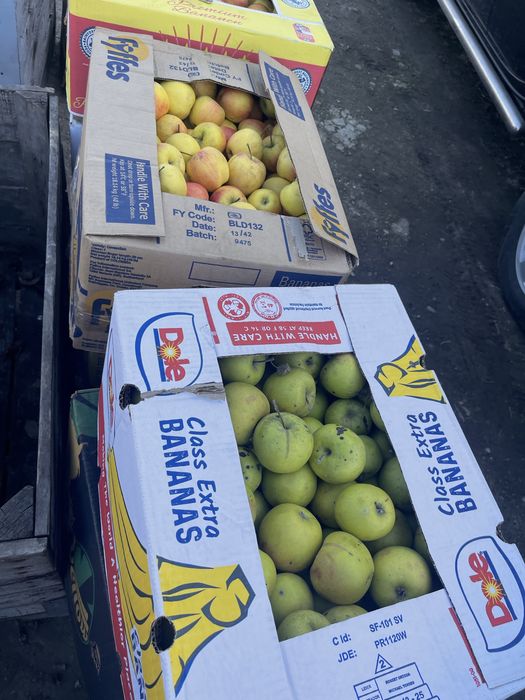 Mere pentru consum, țuică  și suc