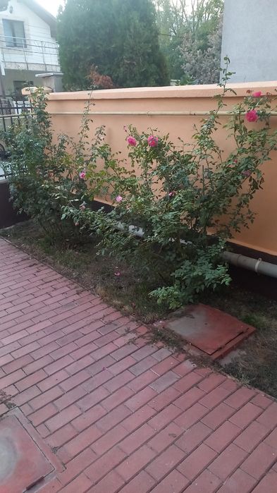 casa de vânzare lângă giratoriul de la Ford