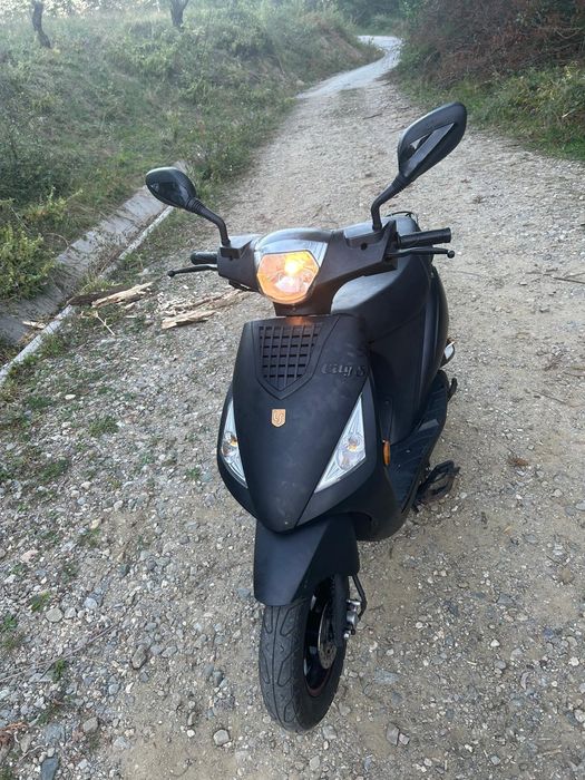 Suter 50cc LaSouris