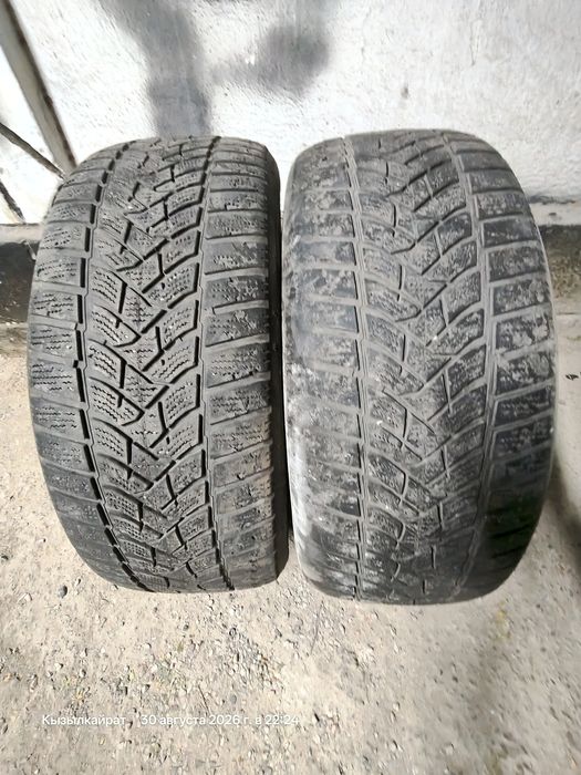 Шины зима Dunlop 2шт
