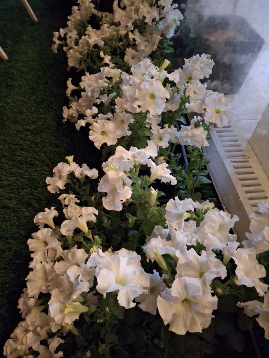 Баня с уличным горячим бассейном