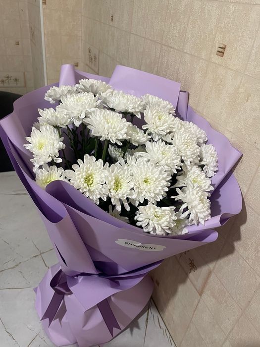 Гүл шымкент Гүл