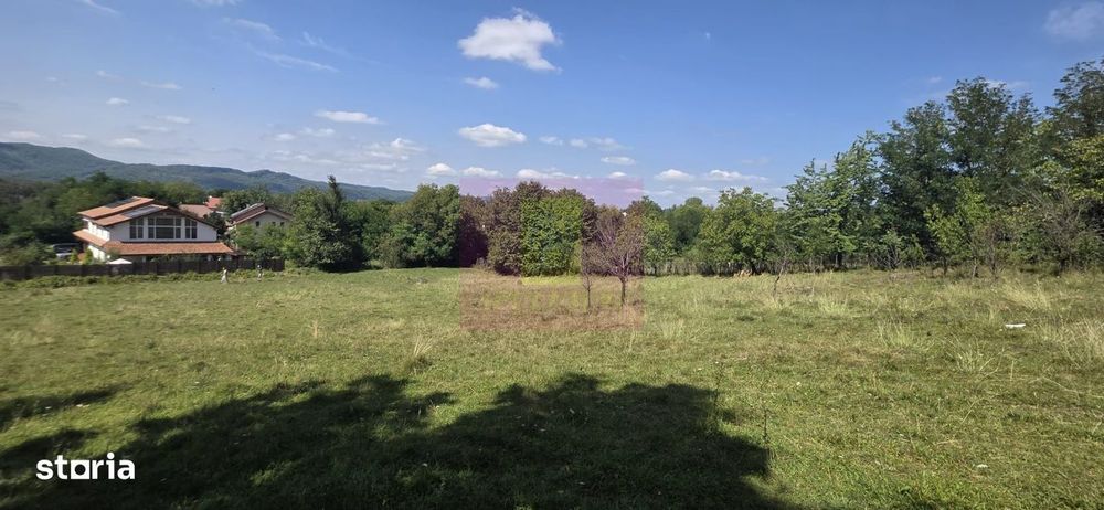 Teren intravilan de vanzare 2500 mp in Banesti