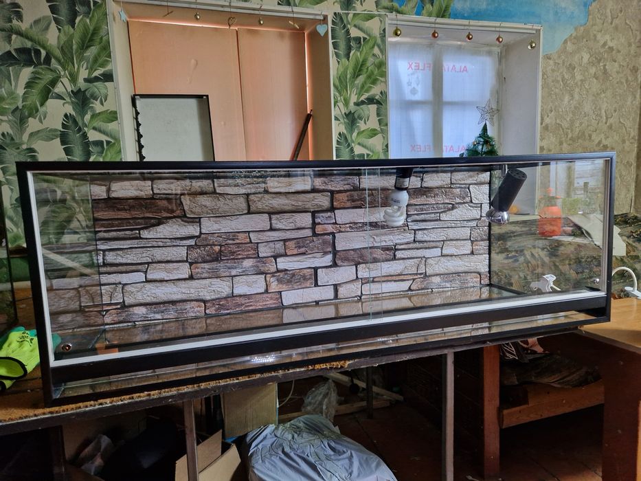 Террариум для рептилий