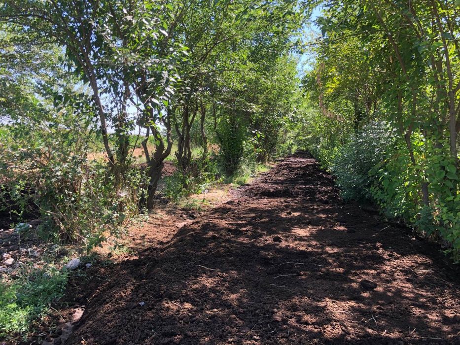 Biogomus mahsuloti. Qancha hohlasela shuncha bor.