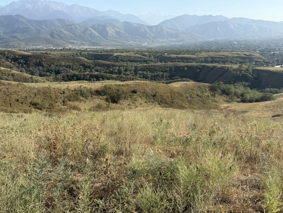 Продам участок 183 га