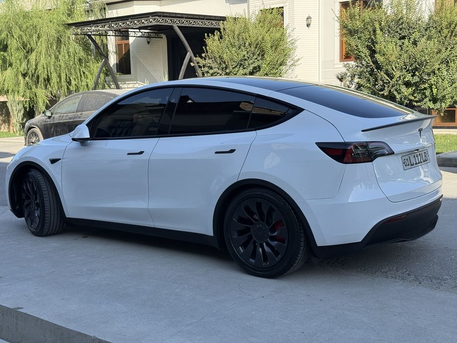 Tesla Model Y Perfomance 2024