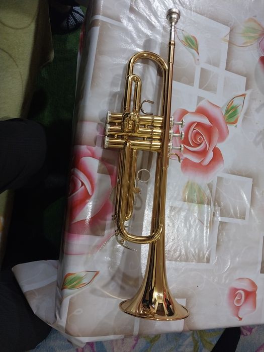 Труба. Truba arginal