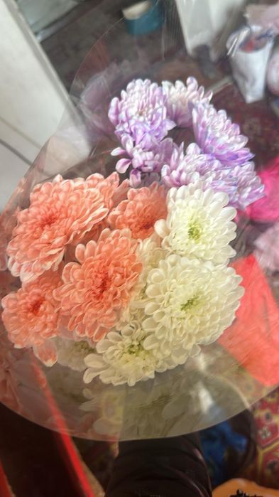 Цветы , срочно 5 тыщ