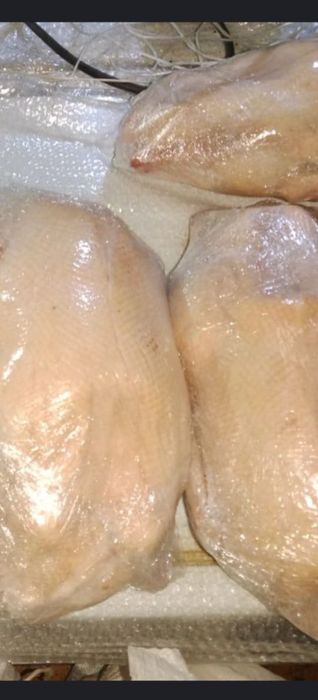 Продам мясо гуся