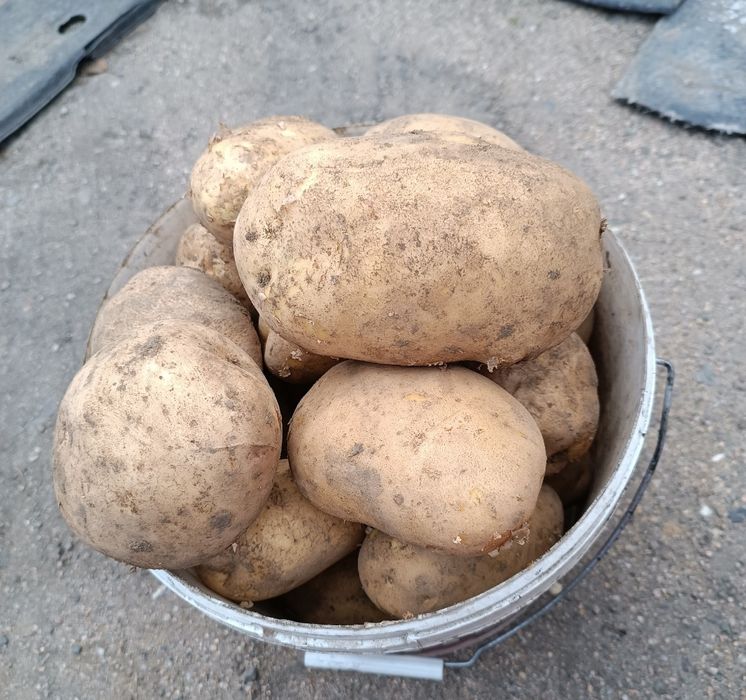 Дача ПК горняк  .