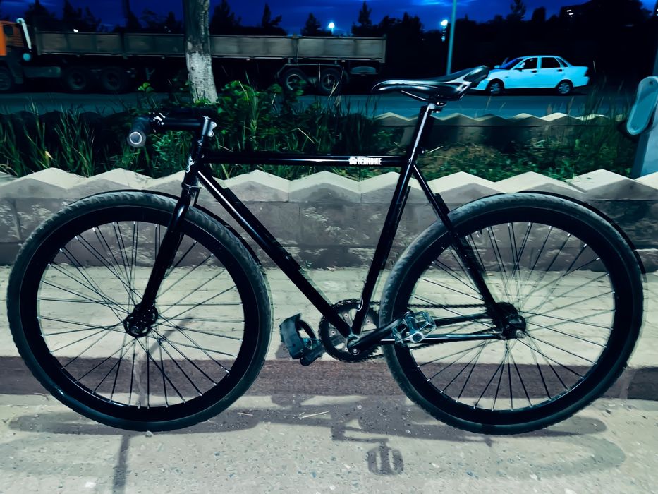 Bearbike shark revolt