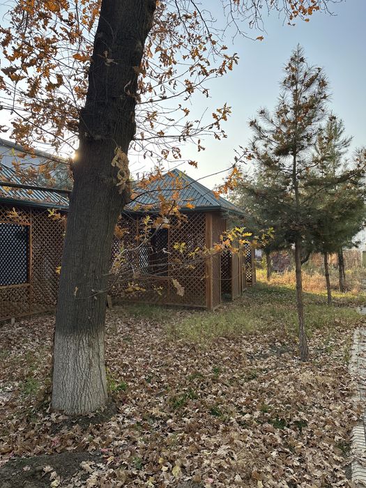 Беседка (Shipon) б/у