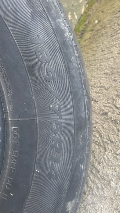 Жаздык донгелектеп