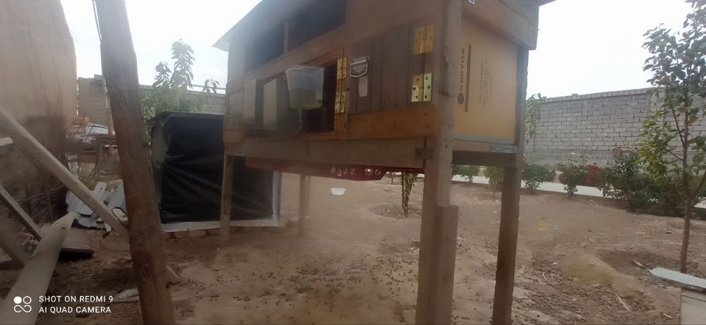 Клетка для кроликов