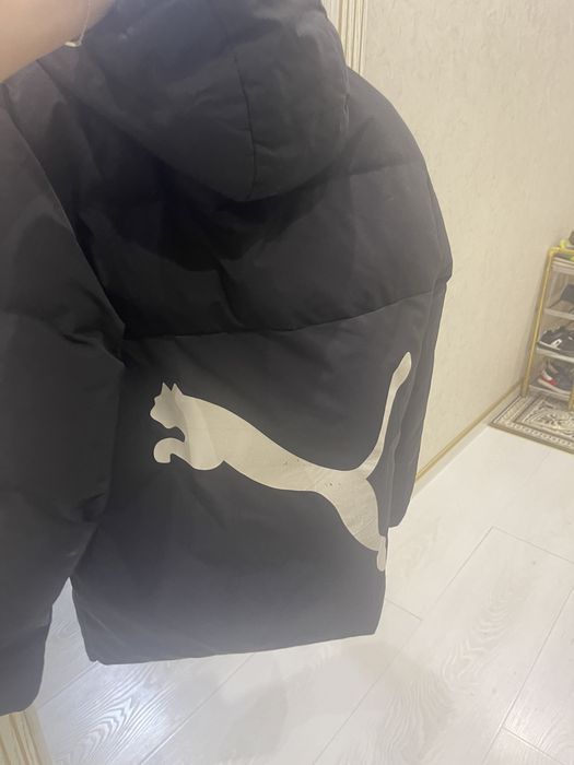 Puma orginal kurtga murskoy