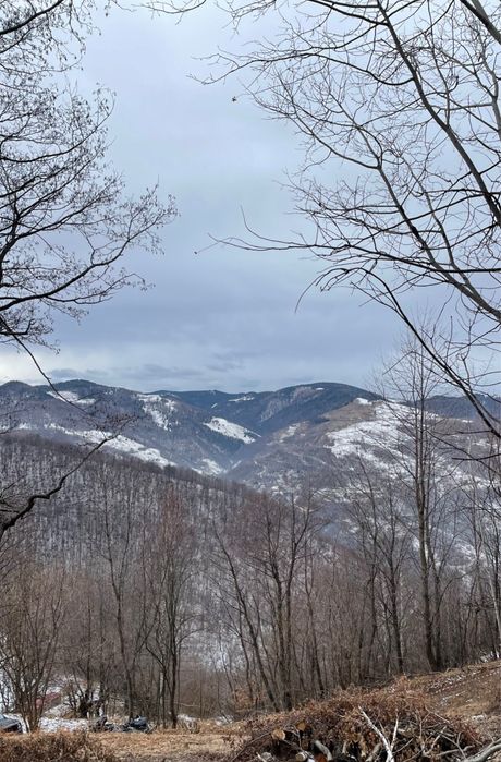 Teren Cabana, Muntele rece, Cluj, Intravilan, accept plata 2 rate