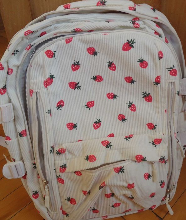 Раници - 2 броя - туристическа и велурена(кадифе)