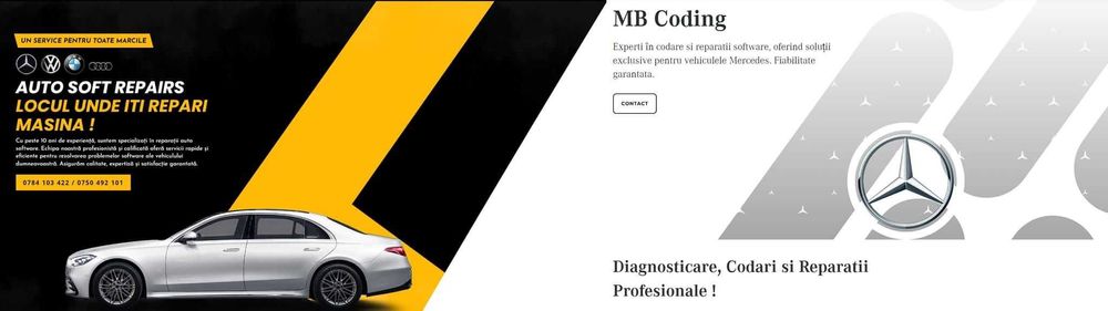 Adblue DPF EGR IMMO Clonare Ecu Diagnoza tester resetare mercedes auto