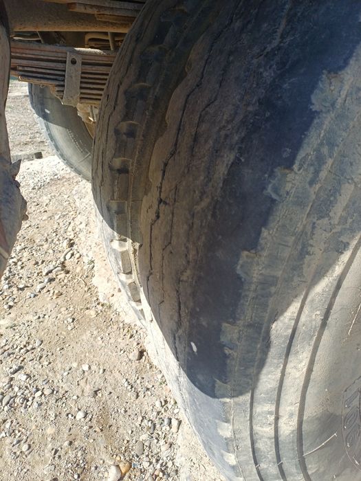 Zil balon 260 diskadi bilan