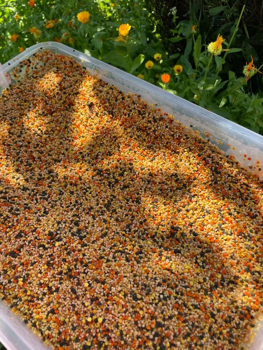 Faguri,miere si polen