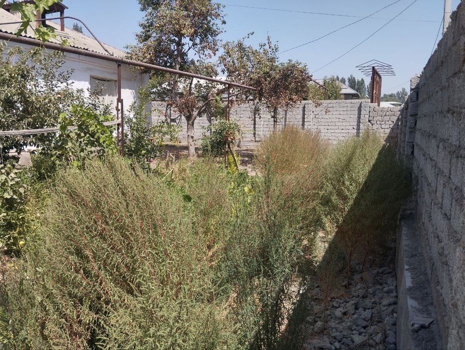 Юкори чирчикский район.Жумабазар.24 соток ховли сотилади