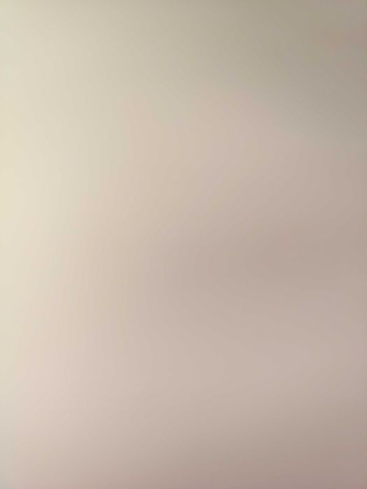 Два големи заека