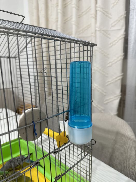 Срочно продам попугай вместе с клеткой