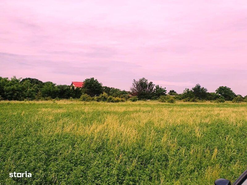 Bolentin Vale-Crivina