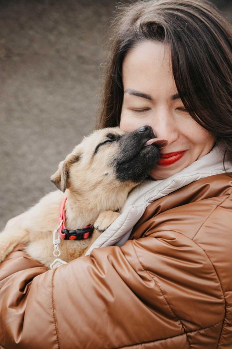 Отдаем в добрые руки щенков