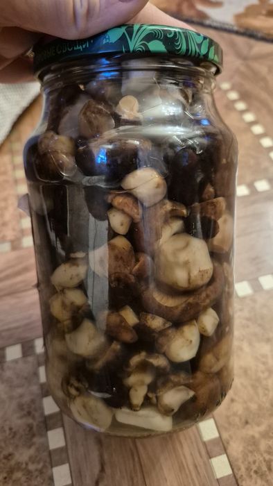 Грибы домашний засол