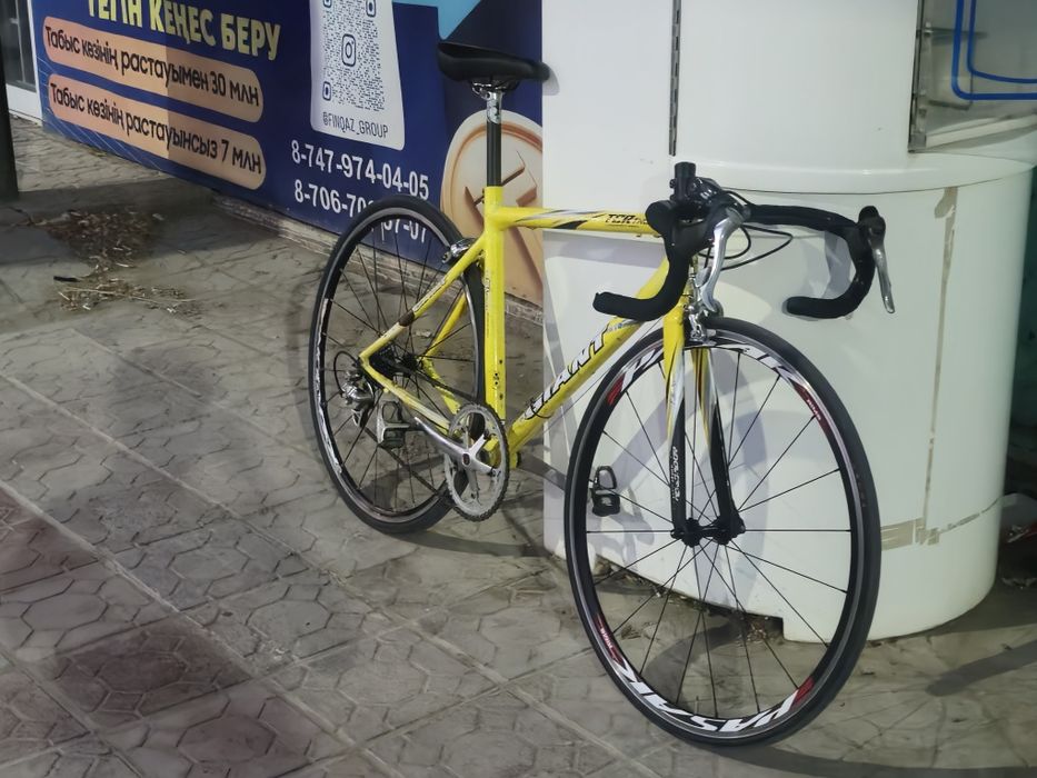 2004 Giant TCR SL Aluxx Yellow Once 

Wheelset.
