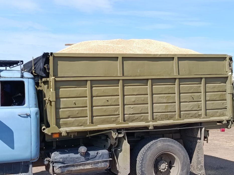 Продам ячмень чистый сухой