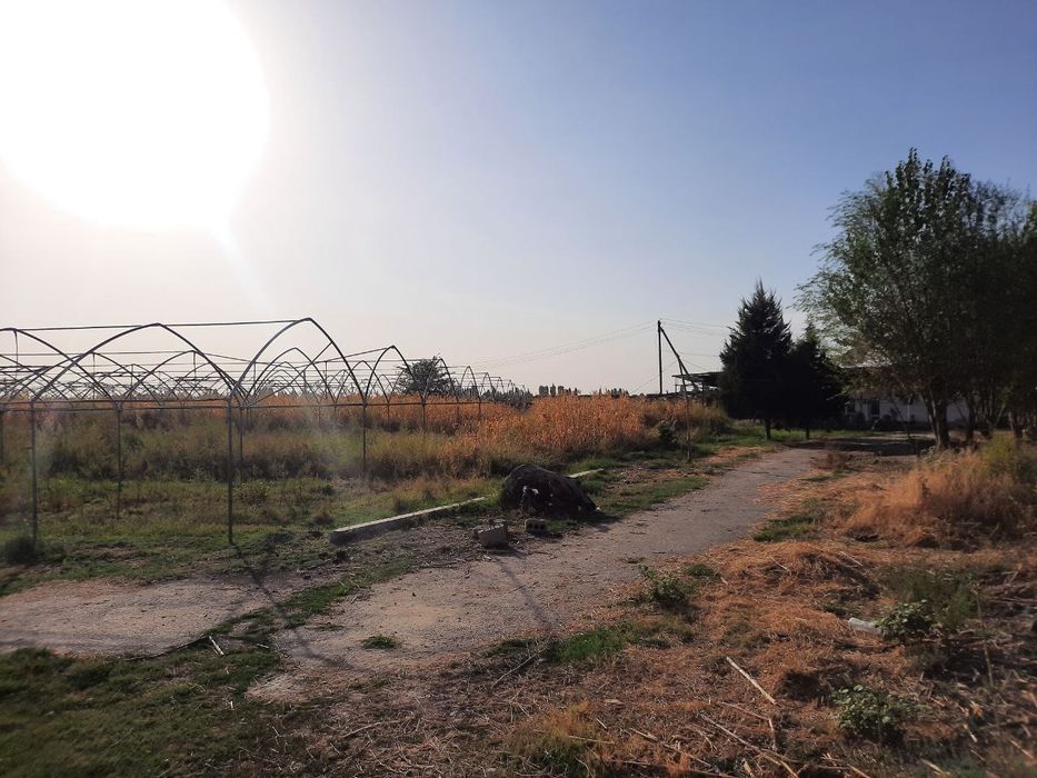 Yuqori chirchiq tumanida 200 sotok yer sotiladi